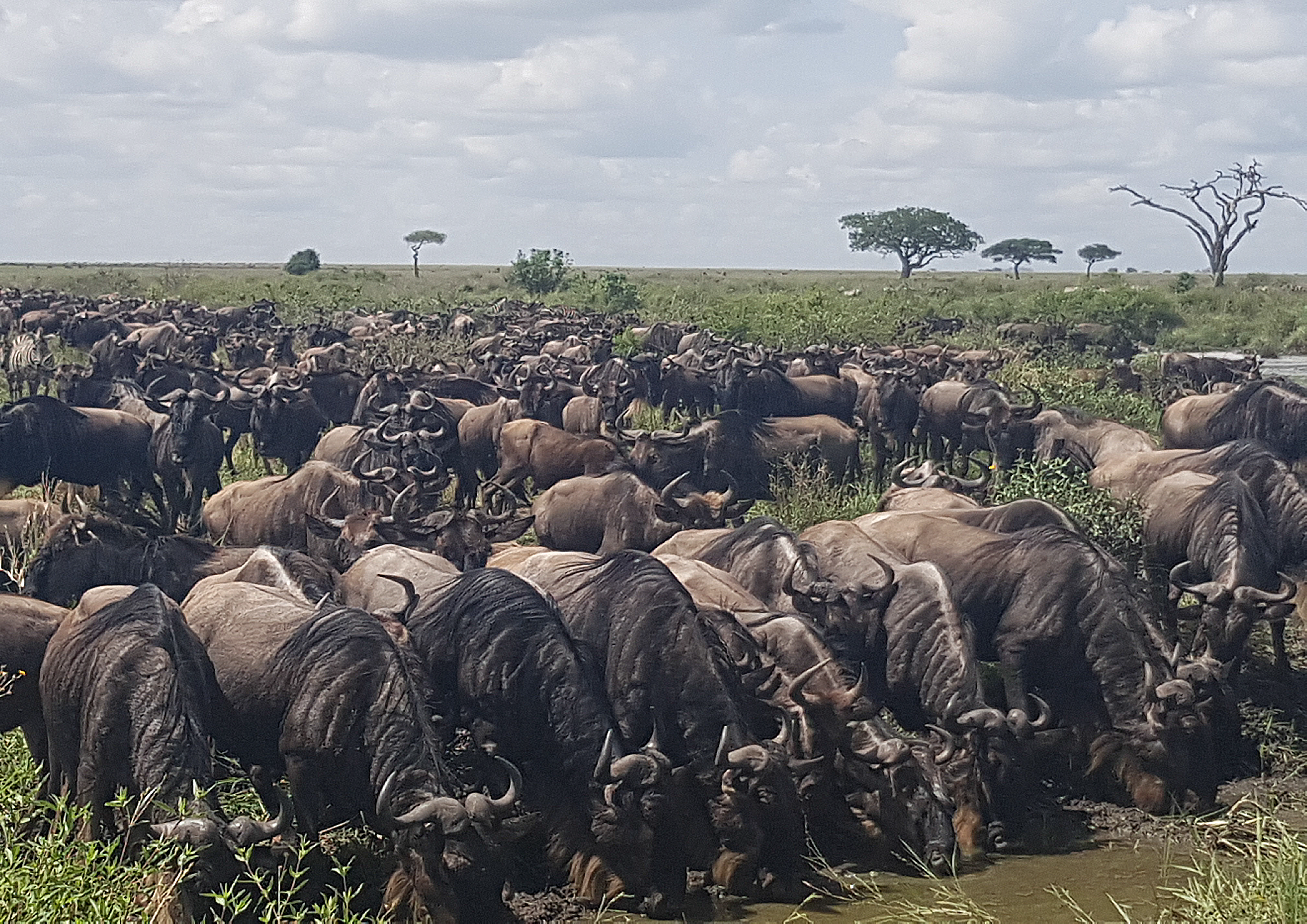 Serengeti National Park